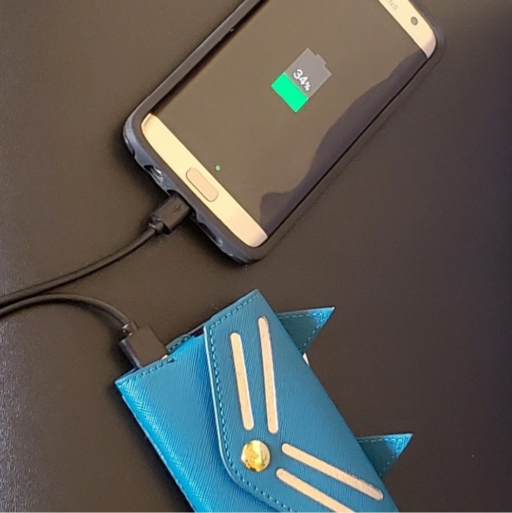 Mundi Mini Kitty Clutch Charger